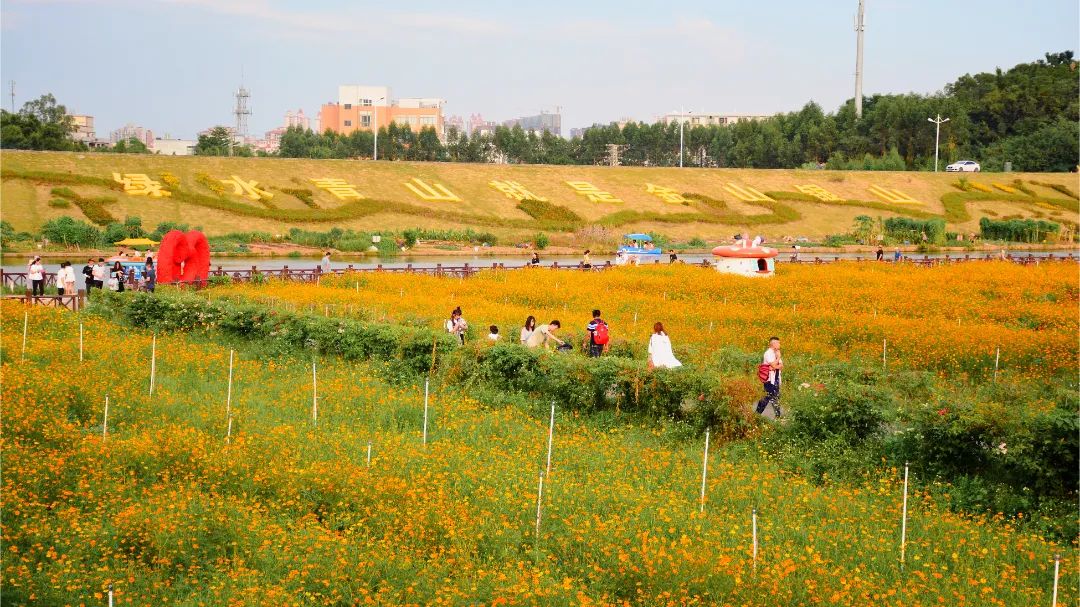 草莓APP在线观看公司为佛山七彩花田供应电线电缆