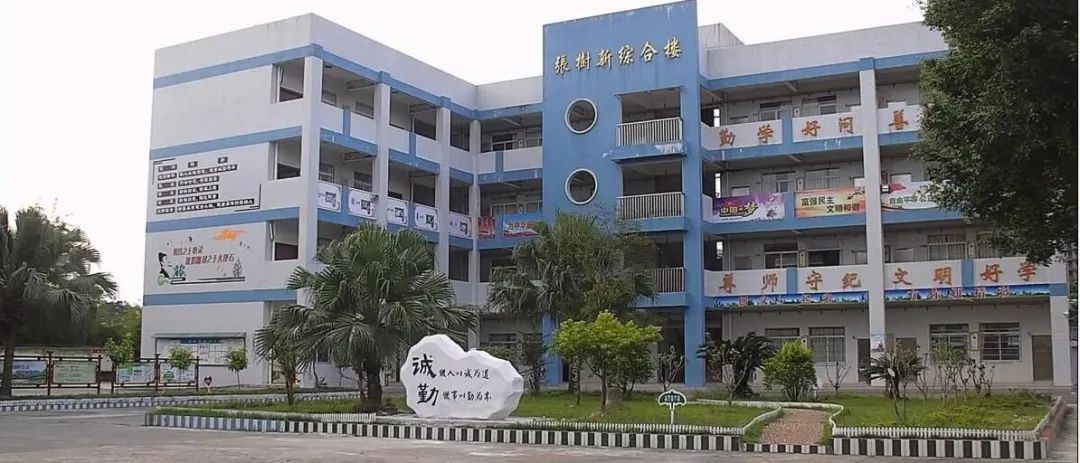草莓APP在线观看电线电缆为姚沙小学提供ZC-YJV电缆