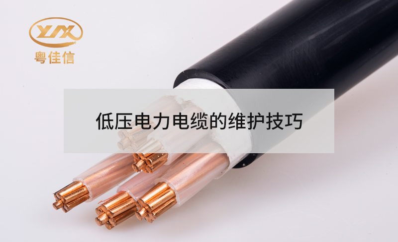 低压草莓软件下载中心的维护技巧