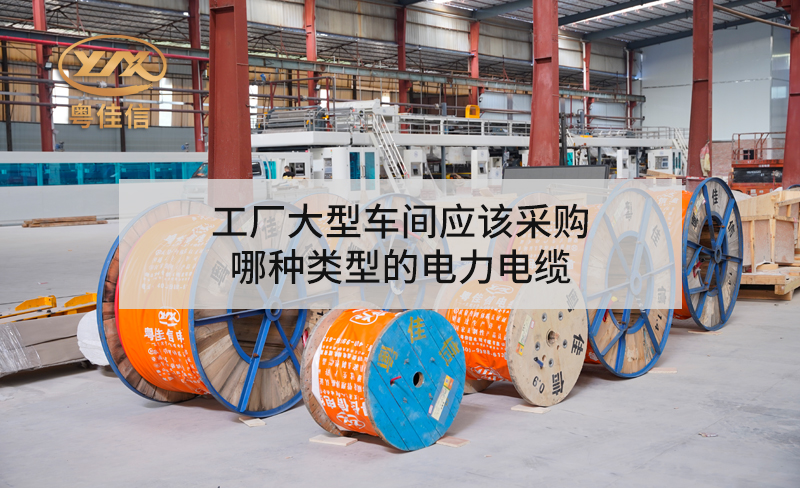 工厂大型车间应该采购哪种类型的草莓软件下载中心