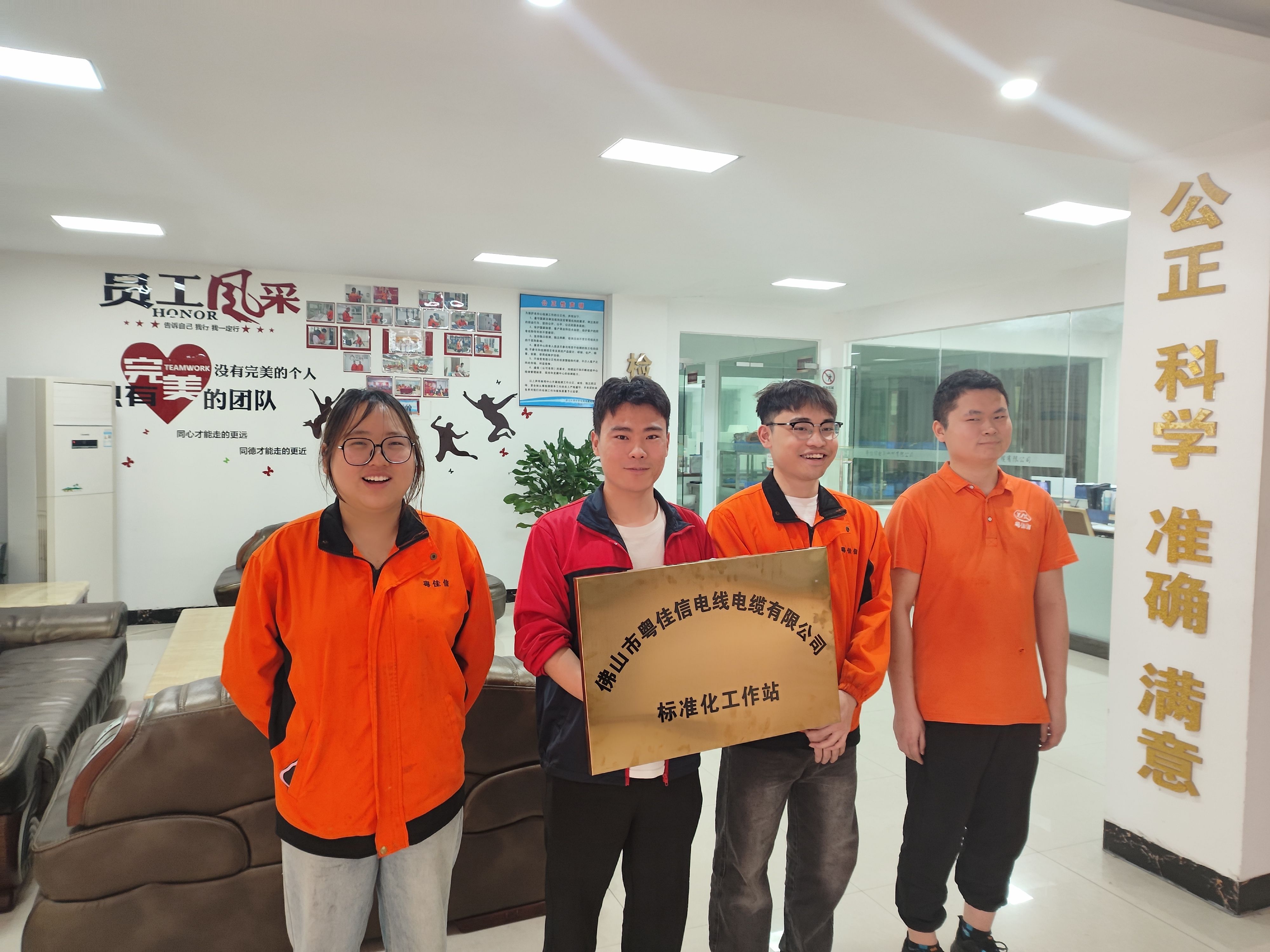 佛山市草莓APP在线观看电线电缆有限公司标准化试点工作顺利推进