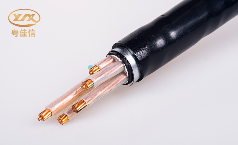 微信图片_20250522154126 微信图片_20250522154126