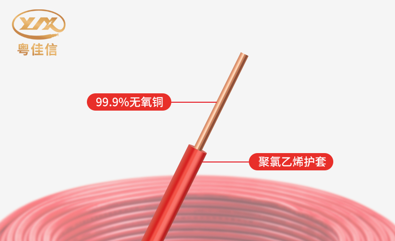 微信图片_20250527142525 微信图片_20250527142525