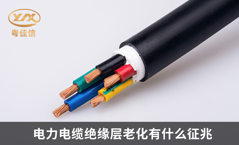 如何判断草莓软件下载中心绝缘层的老化现象？