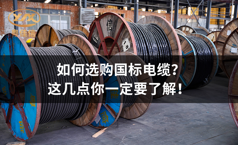 如何选购国标电缆？这几点你一定要了解！